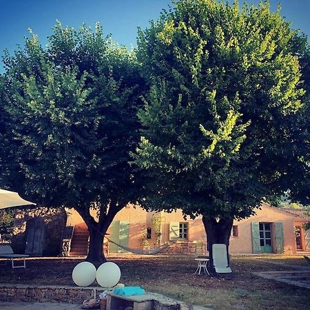 Bastide Provencale De Charme A La Cote D'Azur Callian (Var) Exterior foto